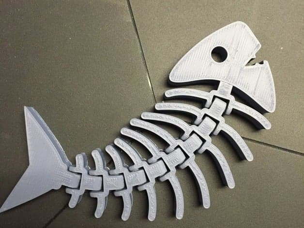 Articulated Fish Skeleton