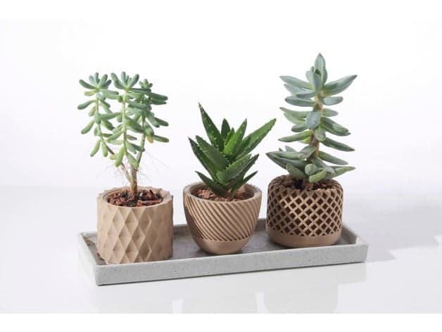 Geometric Pot with Drainage