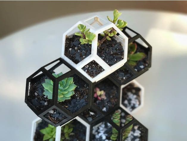 Plantygon Geometric Planter